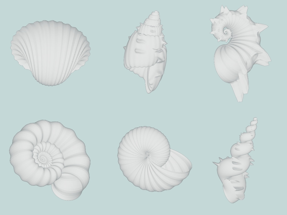 Design your own seashell