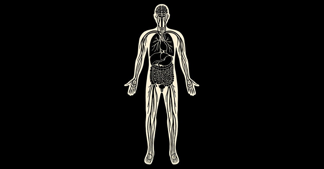 Inside the Interstitium, the Human Body’s Hidden Pathways