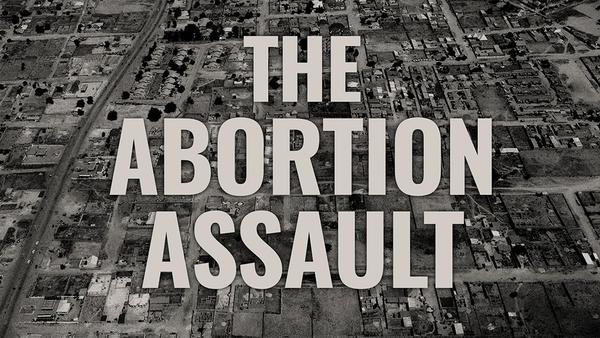 Nigeria military ran secret mass abortion program in war on Boko Haram